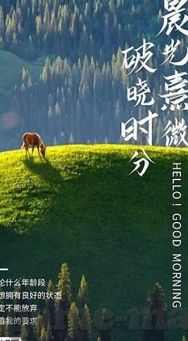 足球比分直播即时比分3g比分-足球比分直播，即时比分与3G时代的观赛革命